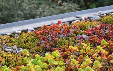 the cost of Eglinton green roof installation