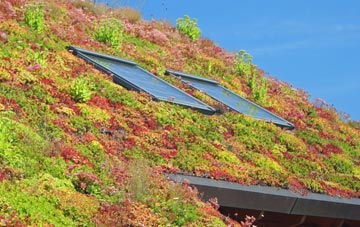 Eglinton living roof systems